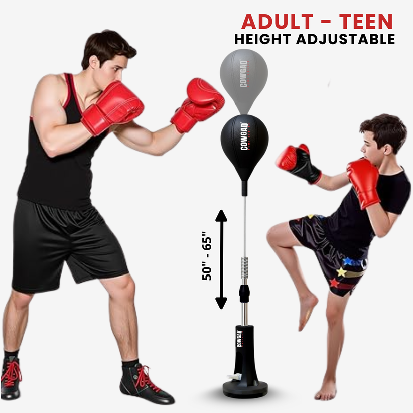 Honyjou Boxing Pro