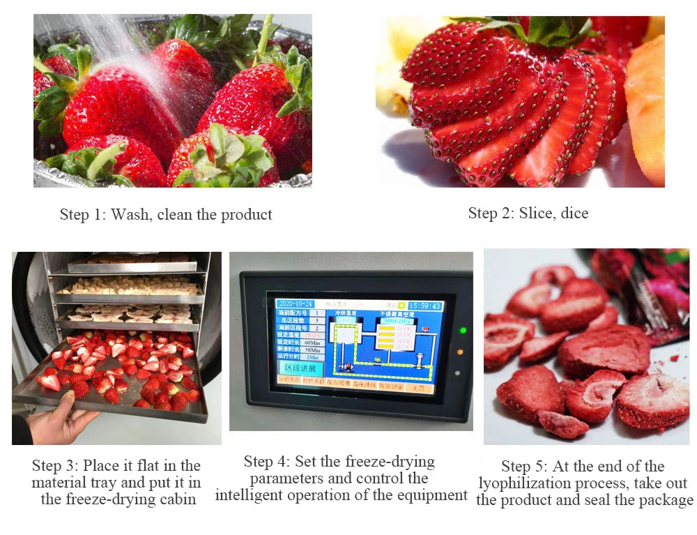 Home Use Vacuum Freeze Dried Candy Dryer Machine Hot Sale in United States