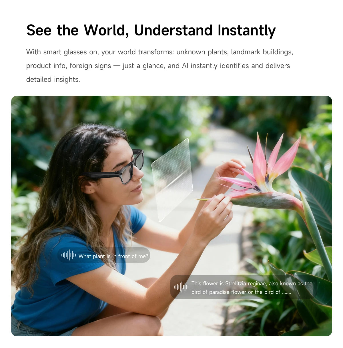 2026 Brand New AI Smart Glasses 100W HD Camera Take photos AI Translation Surround Music Recording BT Call Men Women Sunglasses