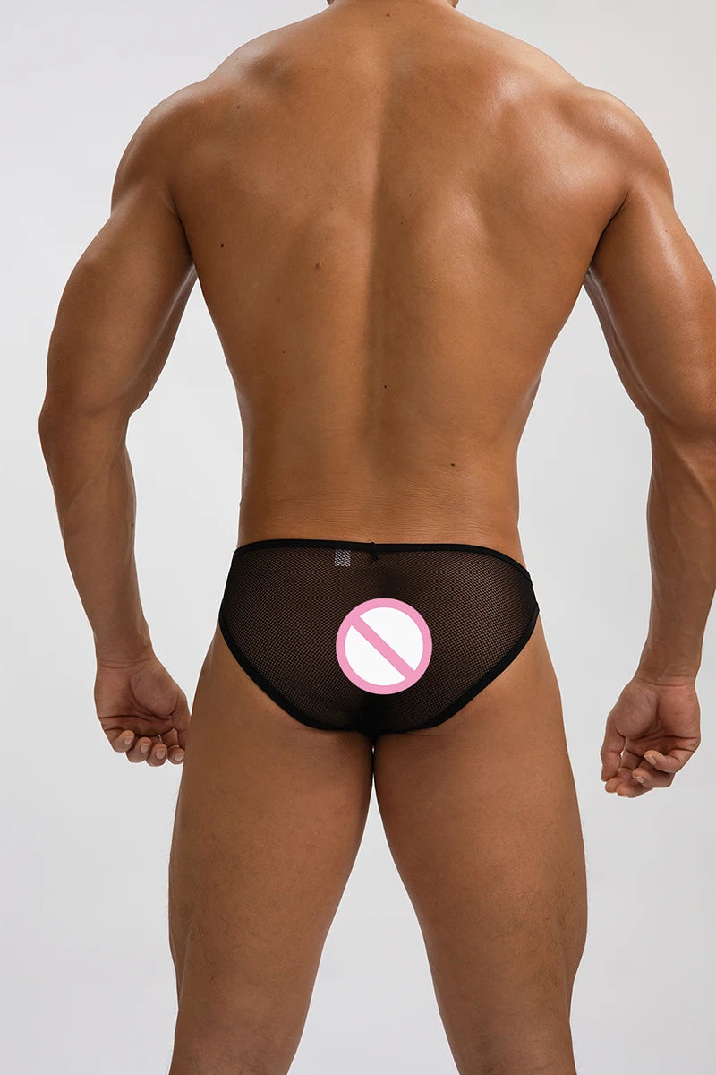 Ice Silk Men Underwear Sheer Mesh Sexy U Bulge Pouch Briefs Male Ultra-thin Breathable Underpants Mid Waist Hollow Panties Cueca