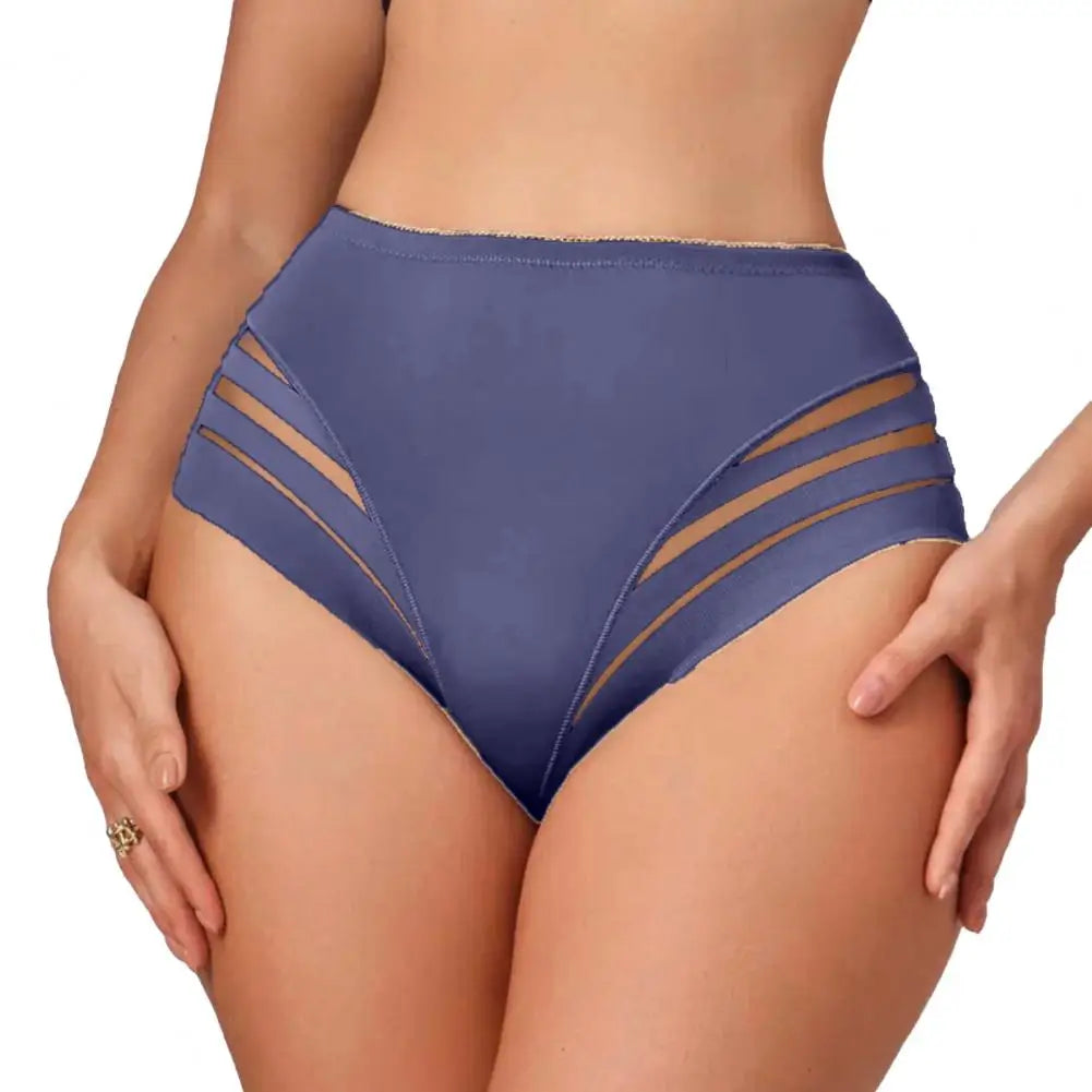 Women Underwear Mid-waisted Panties Women’s Middle Waist Underwear Breathable Sheer Panties Stretch Tummy Control Full