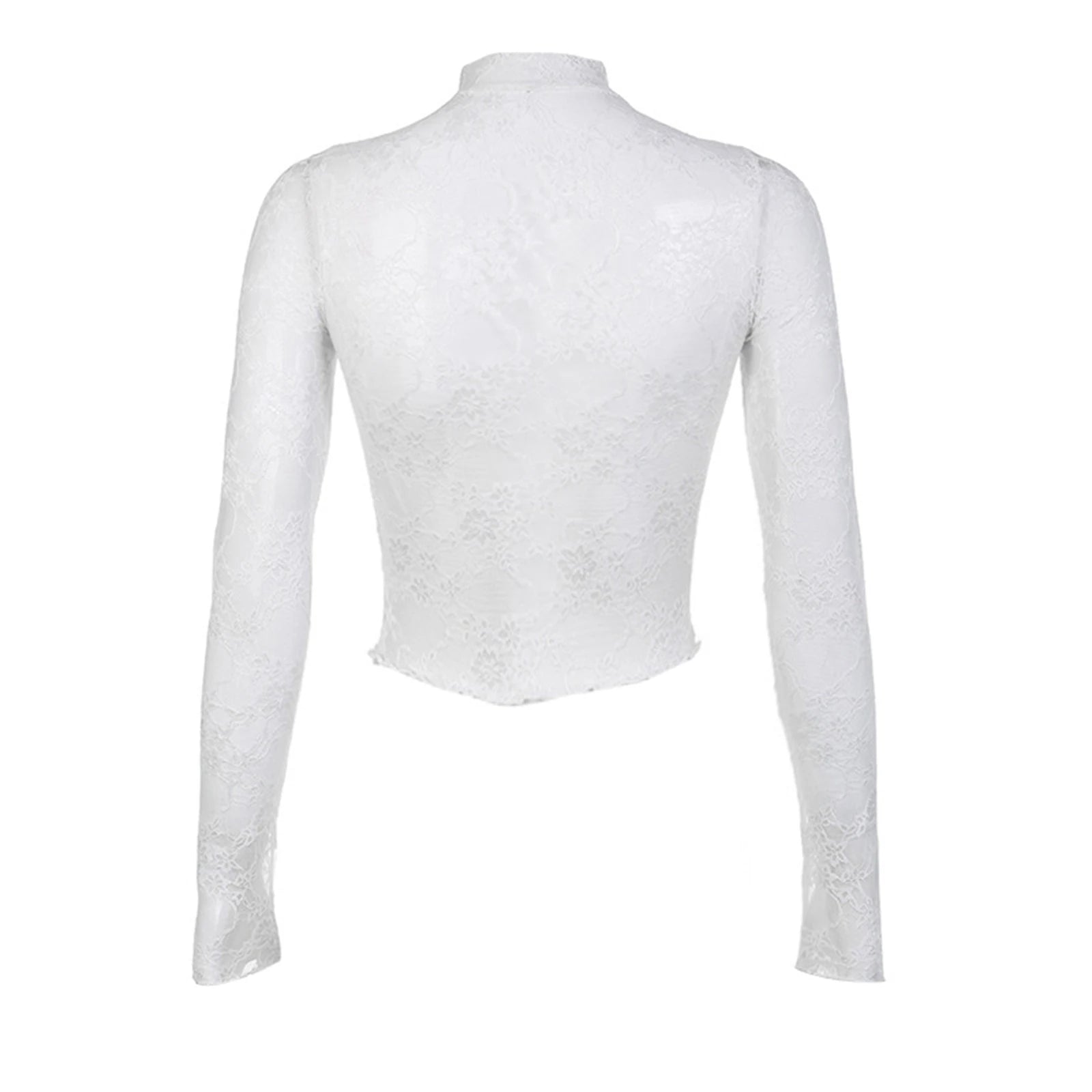 Women's Lace Mesh Crop Tops Long Sleeve Floral Sheer Blouse Sexy Shirt High Neck See-Through Slim Fit Tee Shirts Clubwear