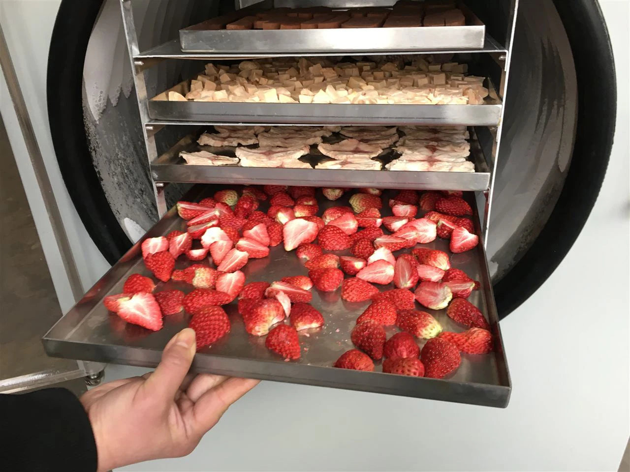 Home Use Vacuum Freeze Dried Candy Dryer Machine Hot Sale in United States