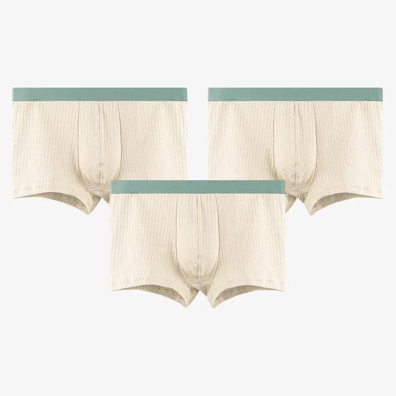 3PC Men's underwear Men's antibacterial cotton boxers summer thin plus size shorts breathable boys sports boxers head