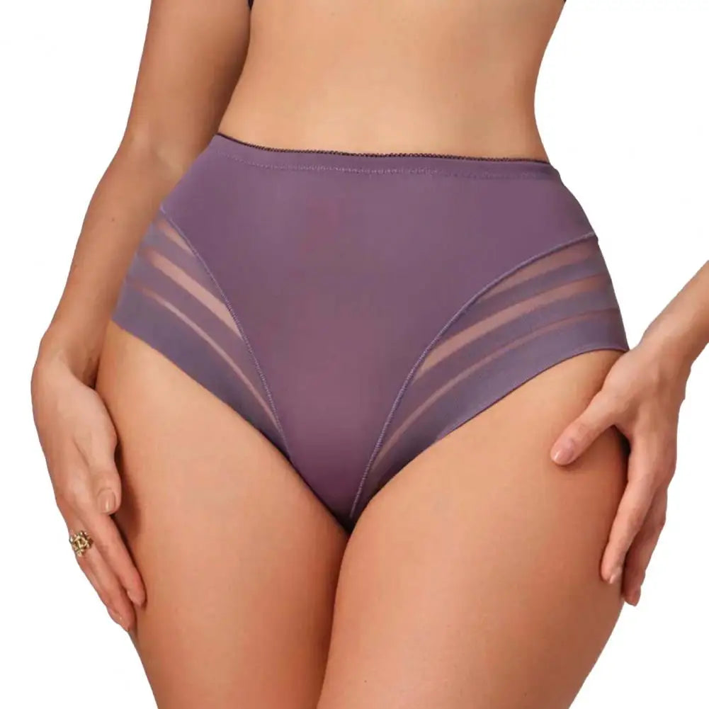 Women Underwear Mid-waisted Panties Women’s Middle Waist Underwear Breathable Sheer Panties Stretch Tummy Control Full