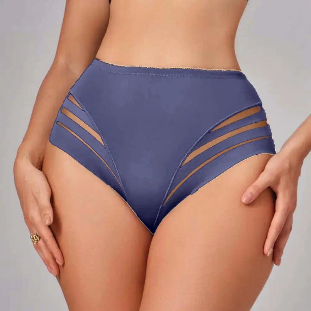 Women Underwear Mid-waisted Panties Women’s Middle Waist Underwear Breathable Sheer Panties Stretch Tummy Control Full