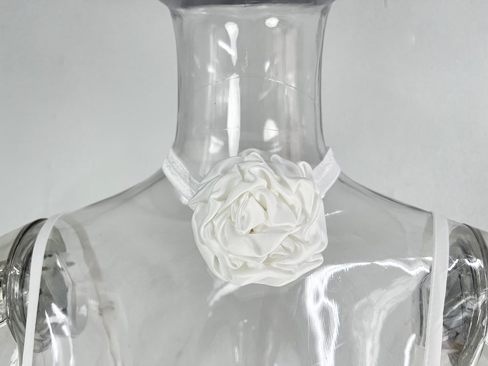 Slim-fit sling lace sheer sheath dress by My Store 3, featuring intricate lace details and a fitted silhouette on a model.