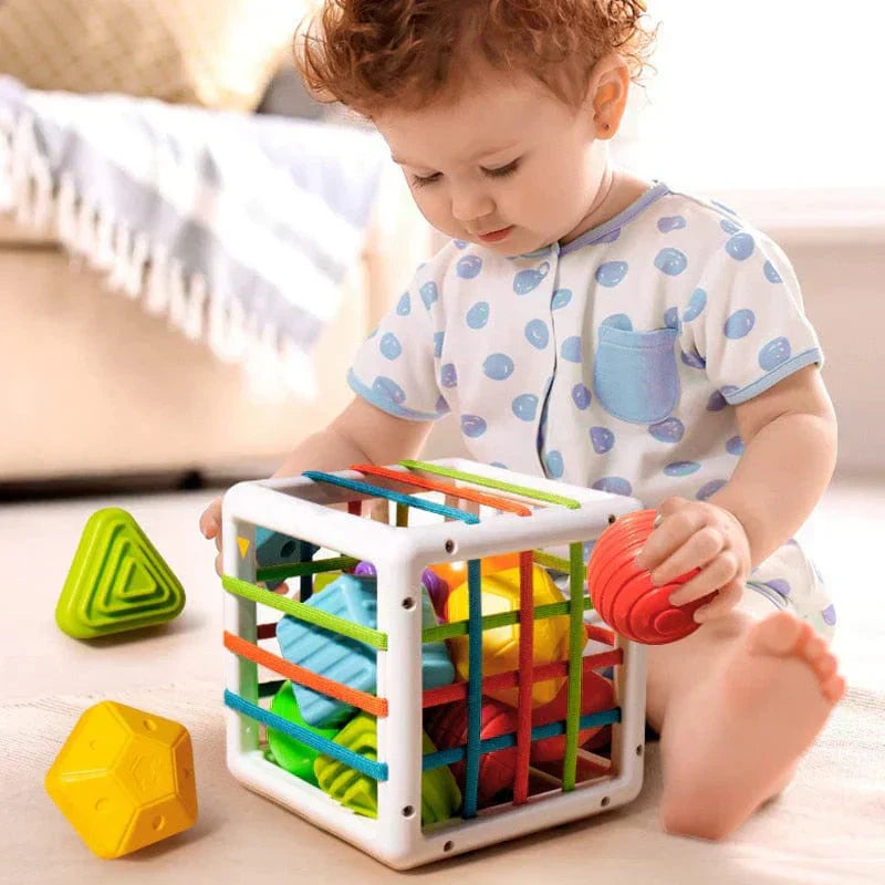 Honyjou Box - Educational Box