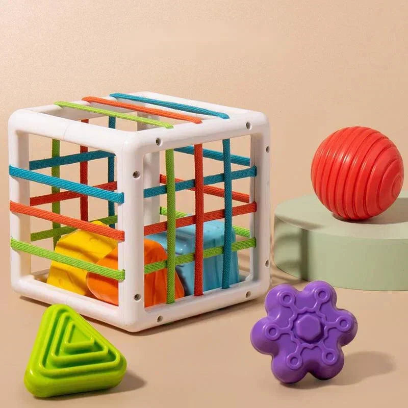 Honyjou Box - Educational Box