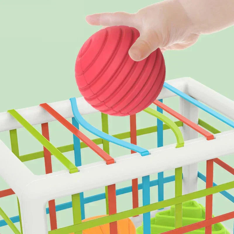 Honyjou Box - Educational Box