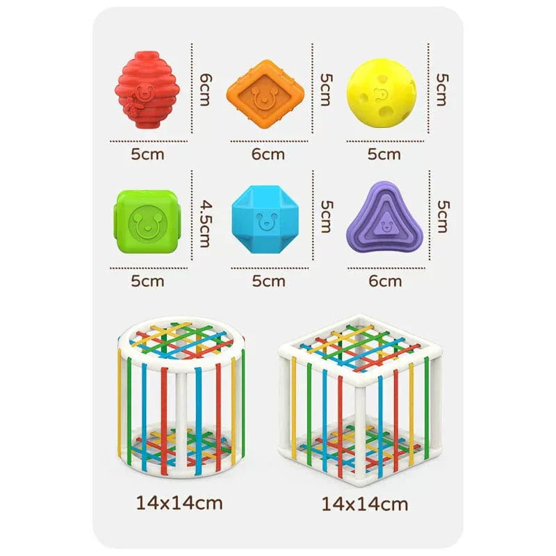 Honyjou Box - Educational Box