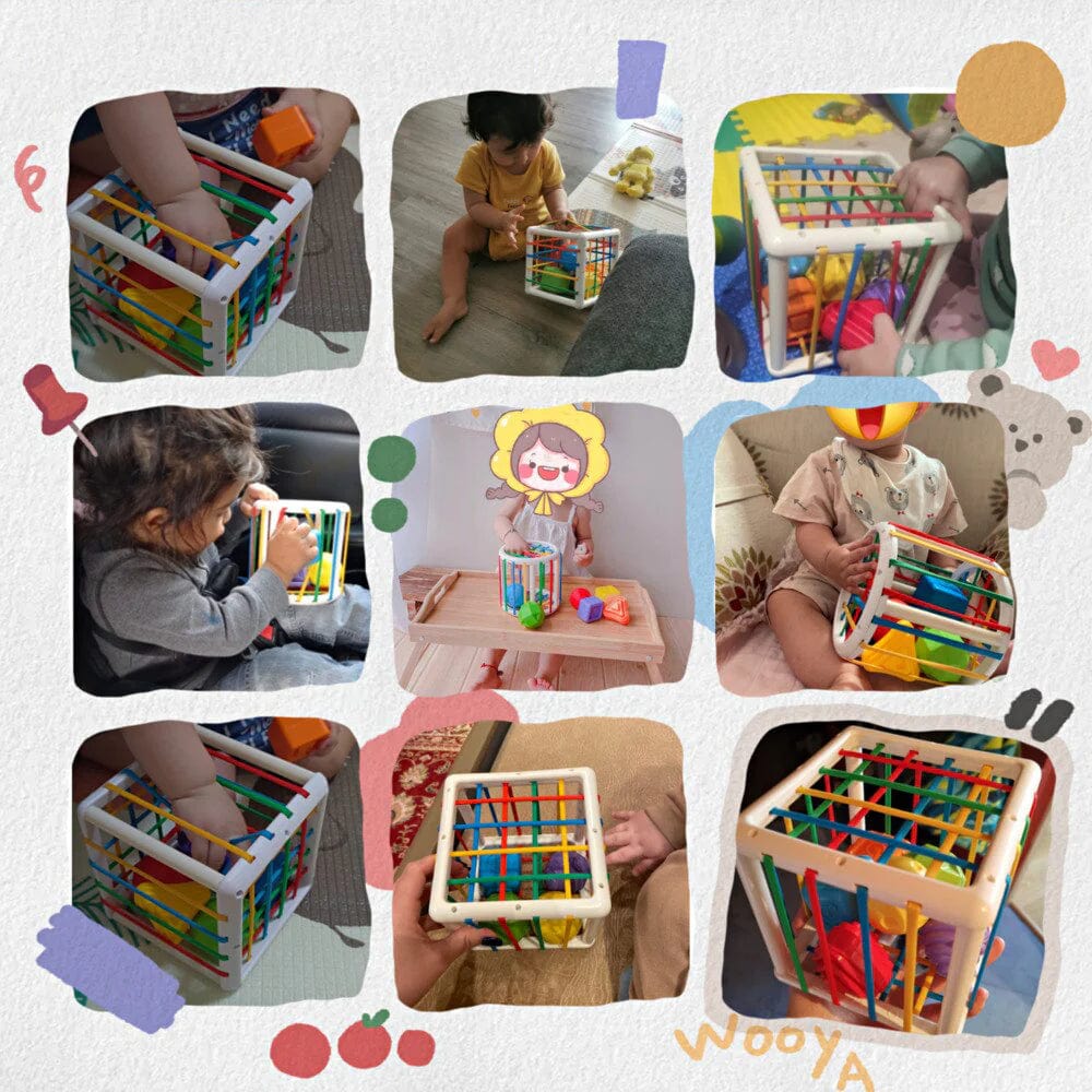 Honyjou Box - Educational Box