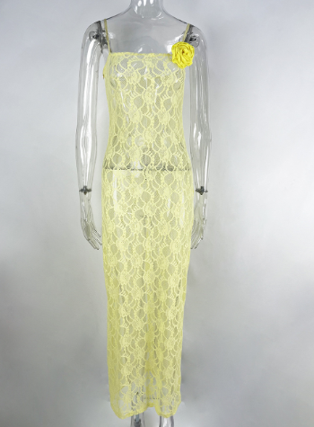 Slim-fit lace sheer sheath dress by My Store 3 featuring a sling neckline and elegant design, perfect for formal occasions.